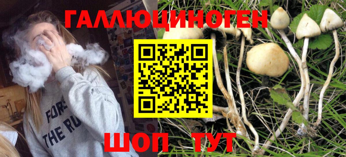 Галлюциногенные грибы Cubensis  Вход с VPN  Галлюциногенные грибы Cubensis  Королёв 